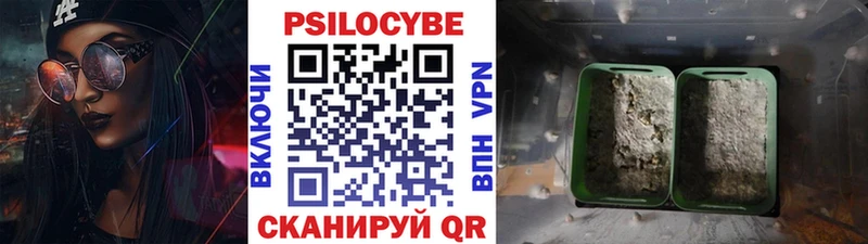 это как зайти купить сайты Болхов Псилоцибиновые грибы мицелий